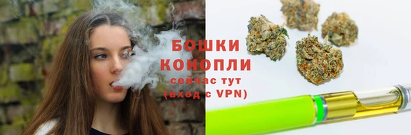 винт Белокуриха