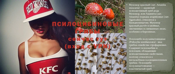 винт Белокуриха