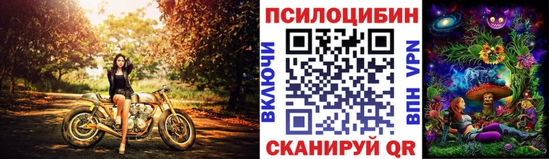 купить наркоту  Магас  Псилоцибиновые грибы Psilocybe 