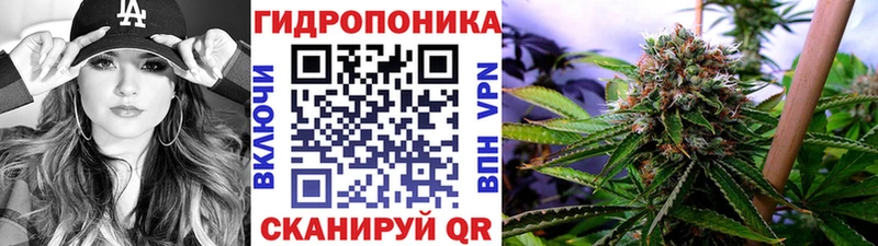 Конопля SATIVA & INDICA  Магас 